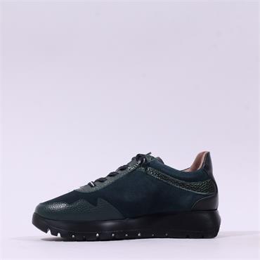 Wonders Odisei Two Tone Bungee Trainer - Deep Green